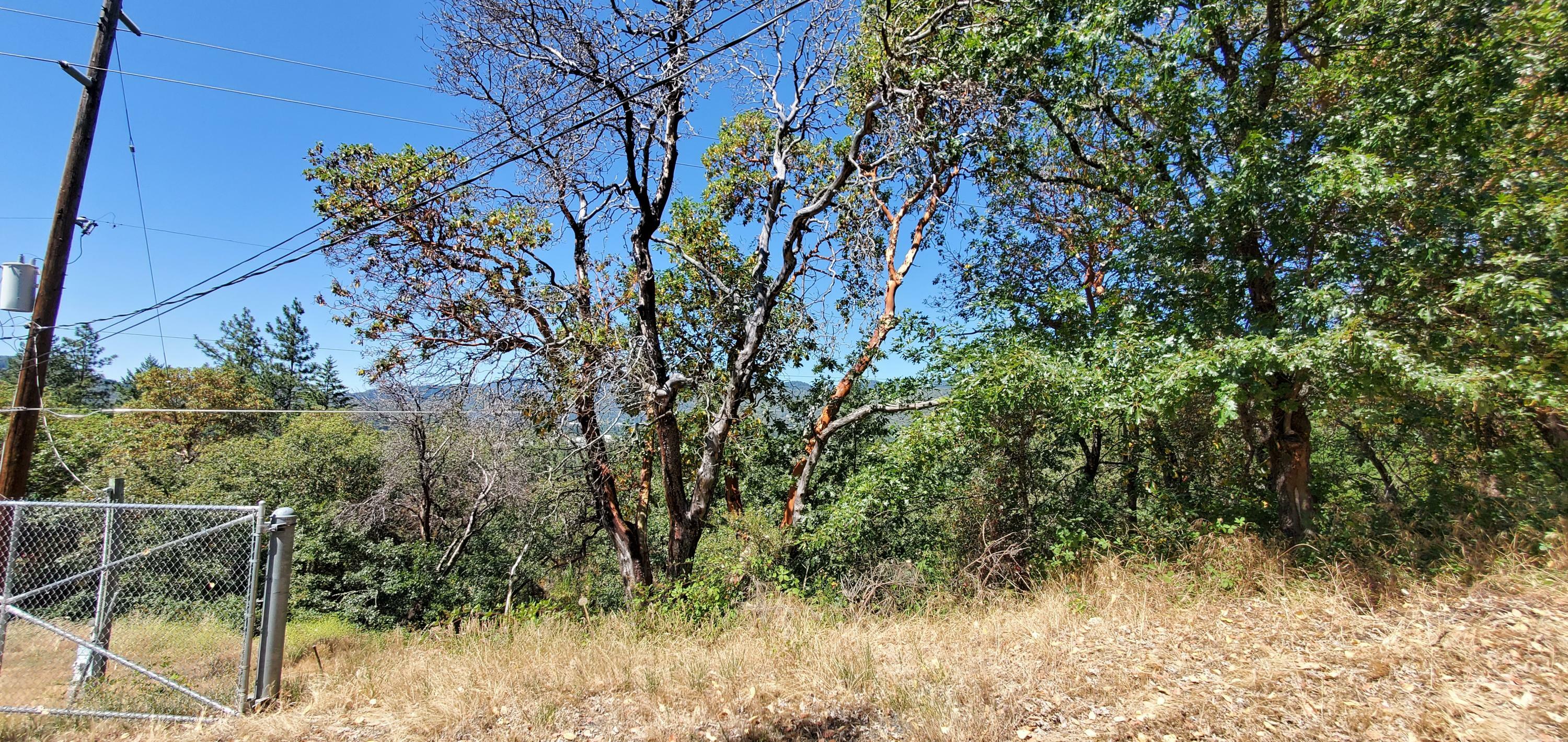 Property Photo:  Shepherd,Hilltop,Fruitdale  OR 97527 