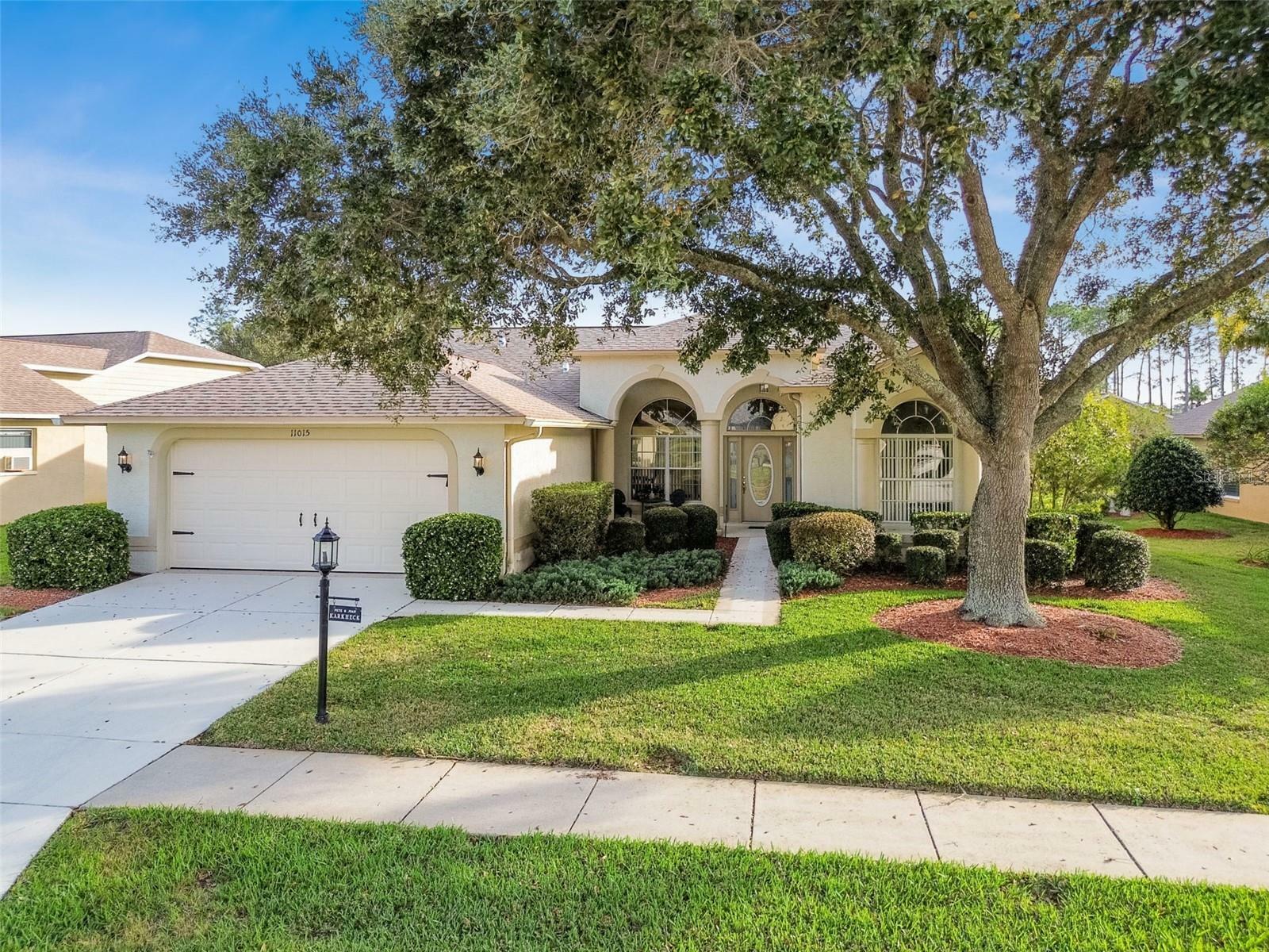 Property Photo:  11015 Windrush Circle  FL 34667 