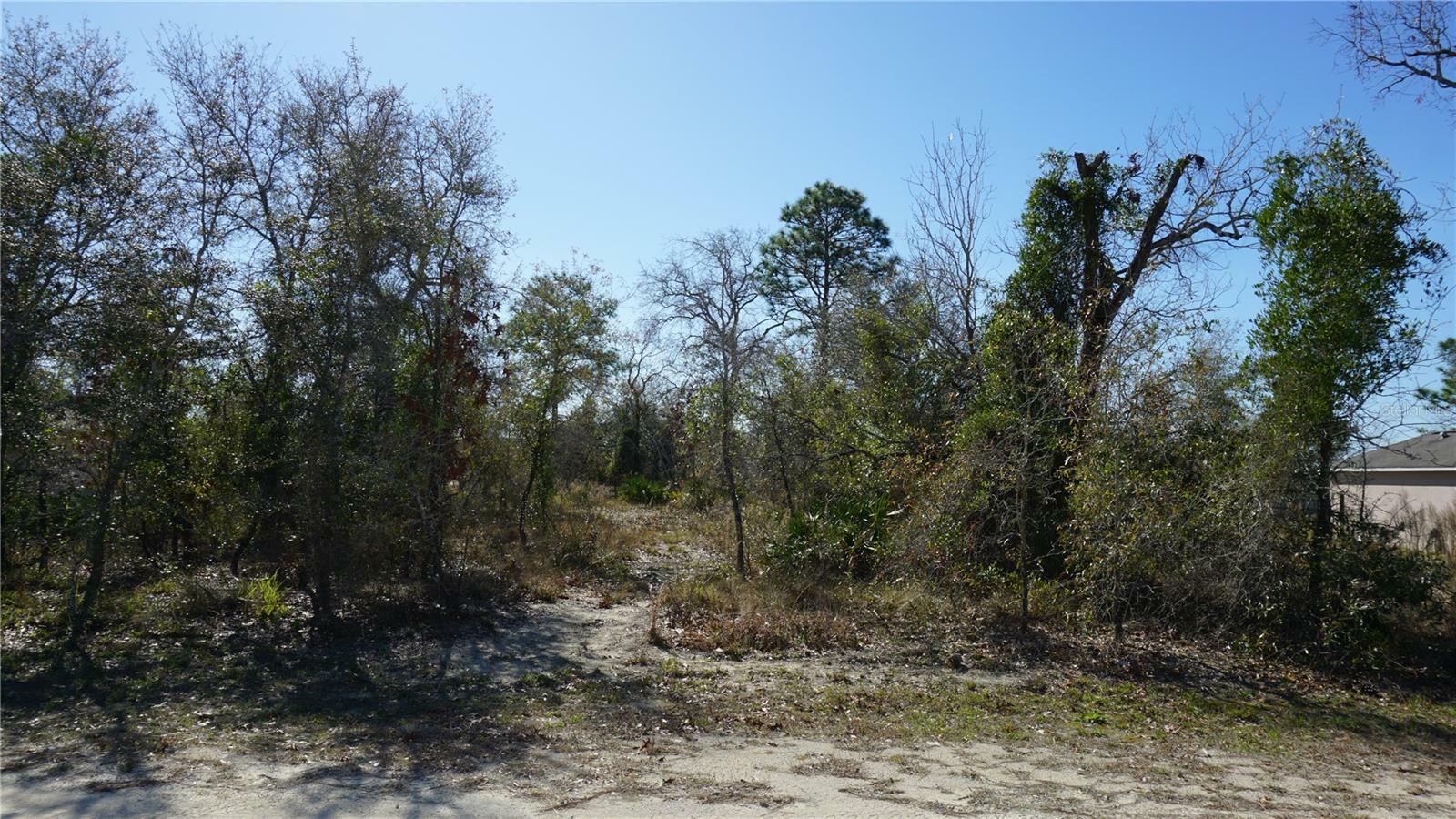 Property Photo:  13112 Johnathan Drive  FL 34614 