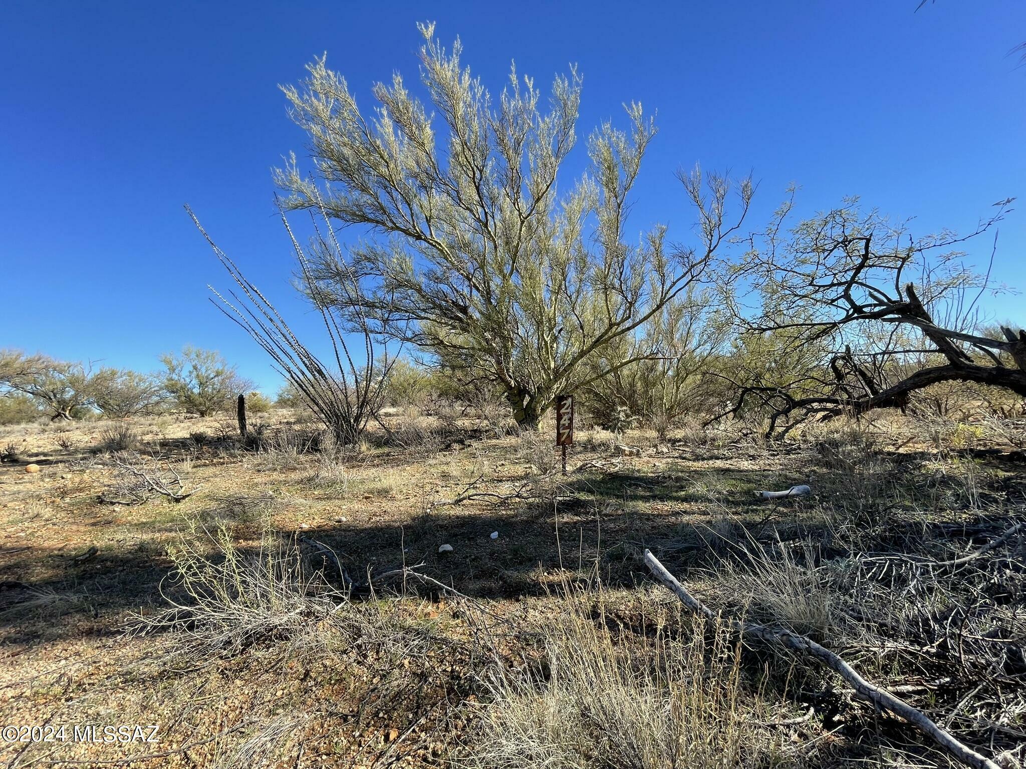 Property Photo:  15879 Bolo Place 247  AZ 85736 