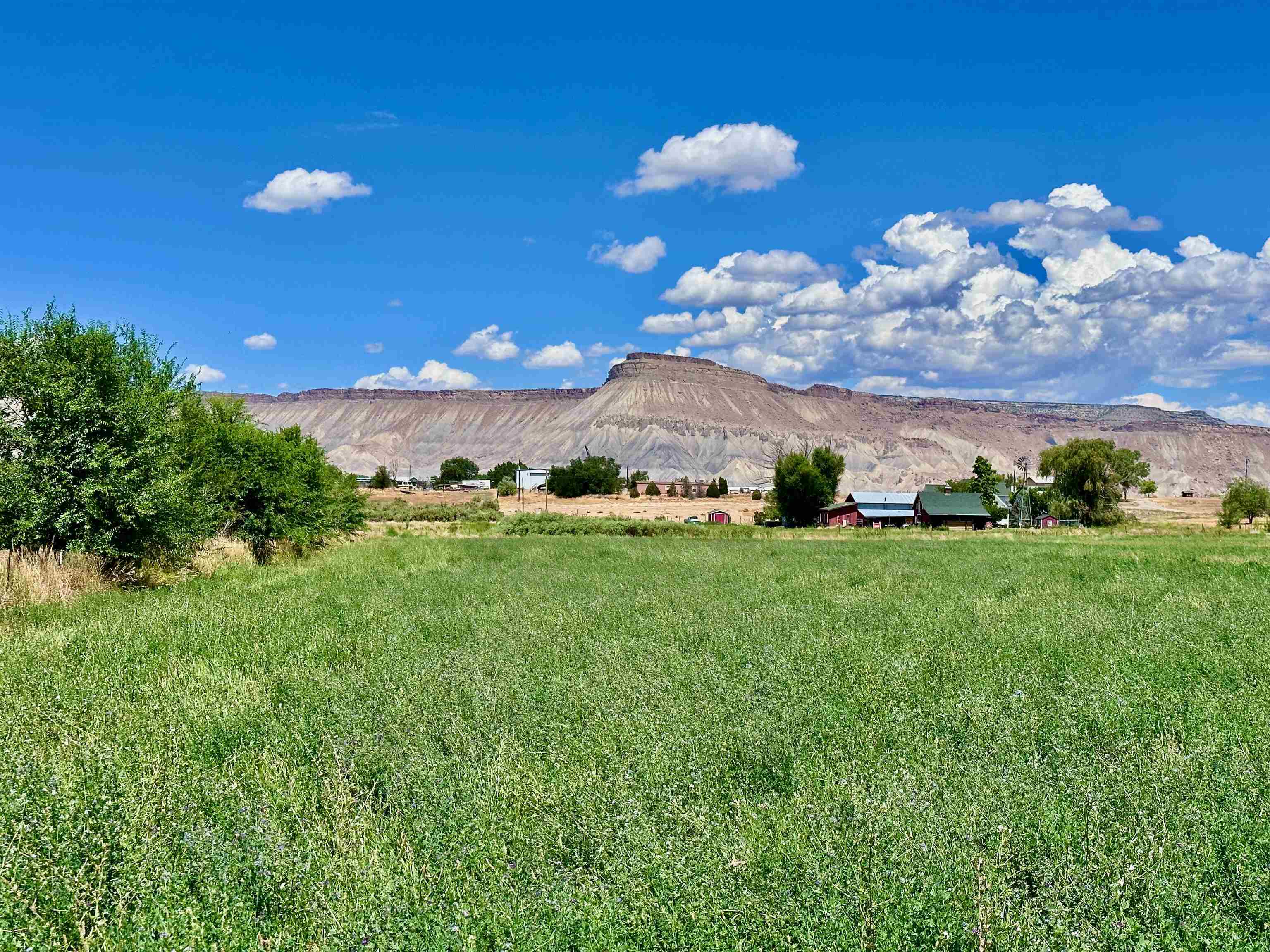 Property Photo:  3429 D Road  CO 81526 