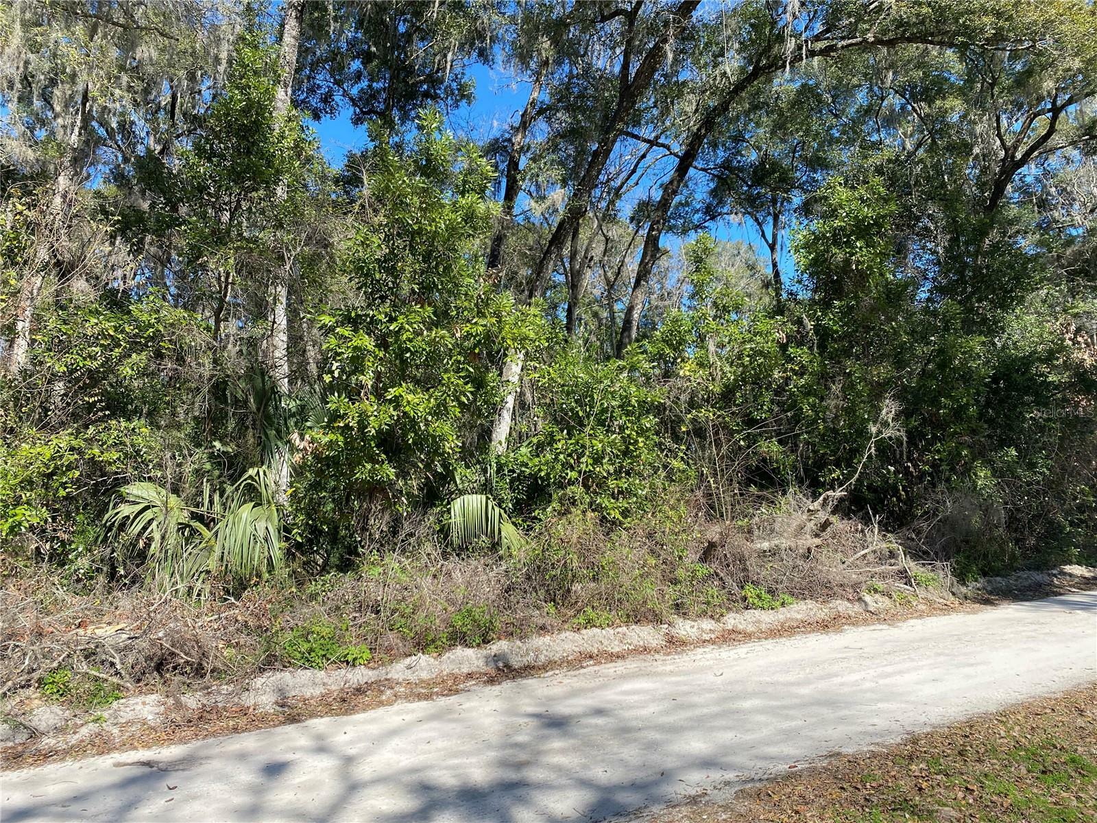 Property Photo:  4245 NE 139th Lane  FL 32617 