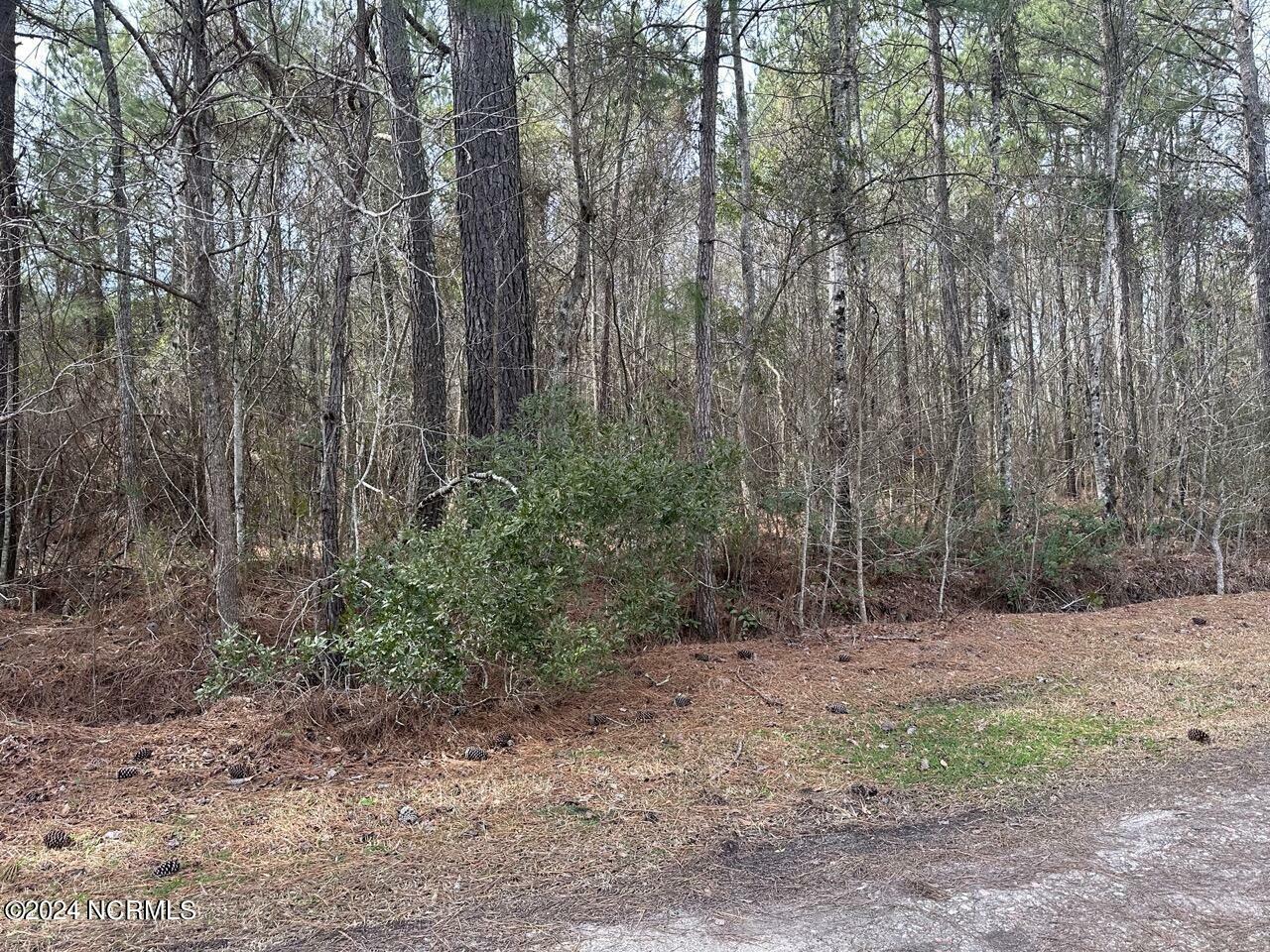 Property Photo:  000 Wooten Rd Road  NC 28454 
