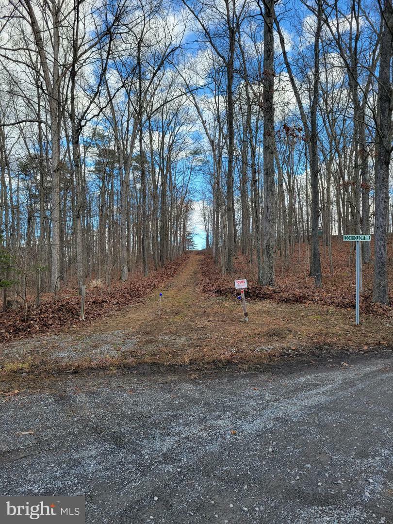 Property Photo:  Coon Hollow Trail  WV 25427 