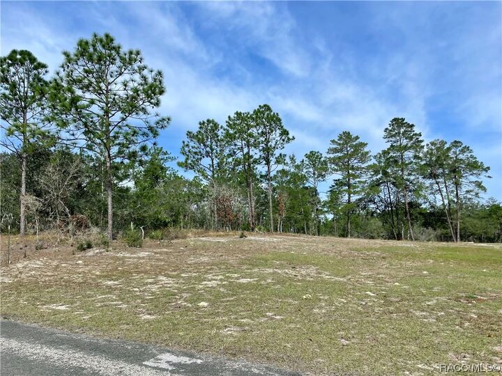 Property Photo: 3921 W Fireside Lane FL 34433