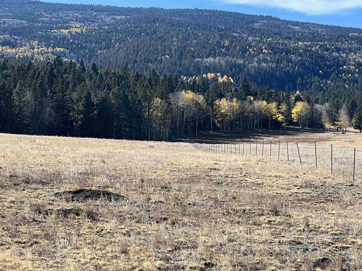 Property Photo:  Lot 18 Laguna Negra Circle  NM 87710 