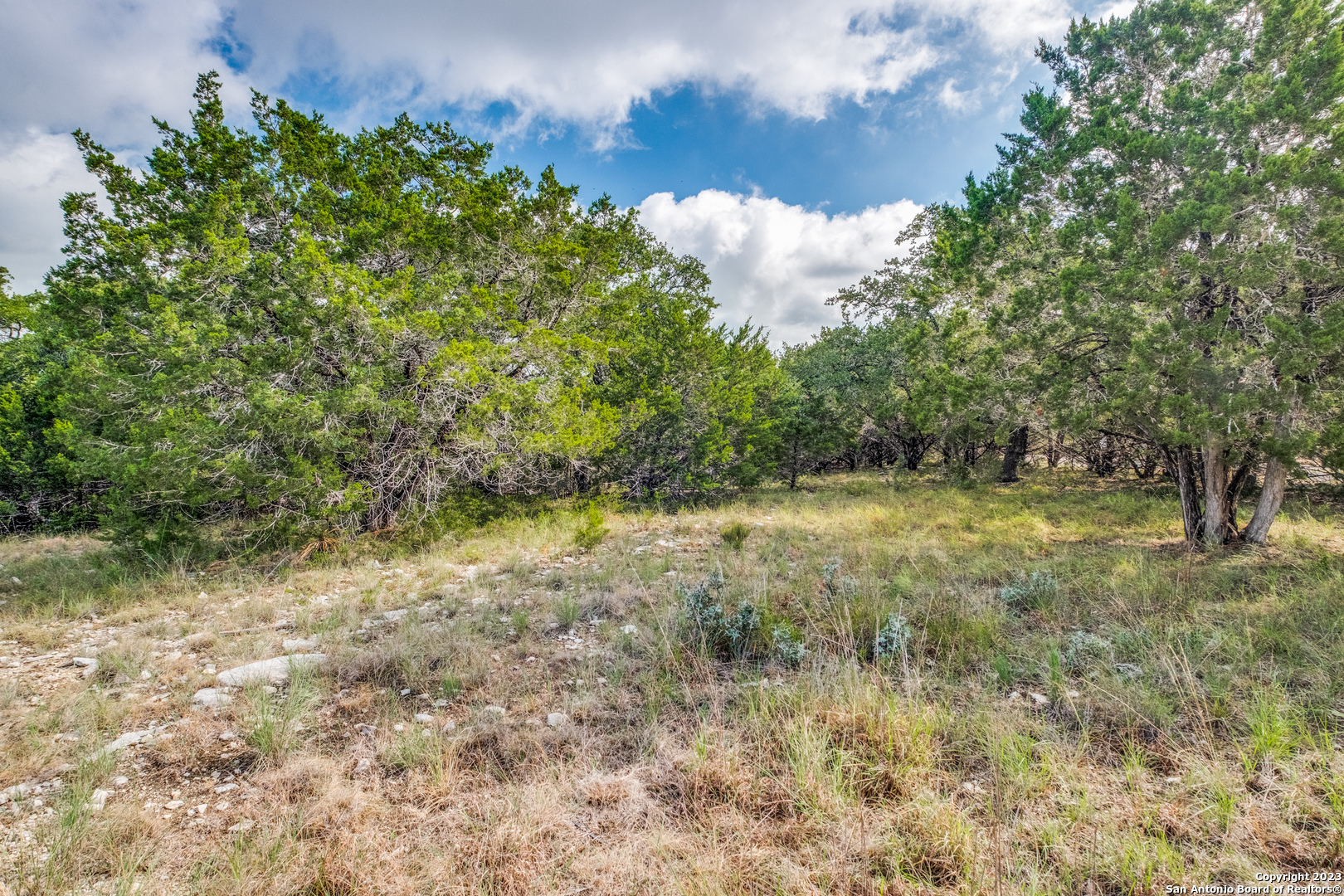 Property Photo:  0 Lakepark Dr  TX 78063 