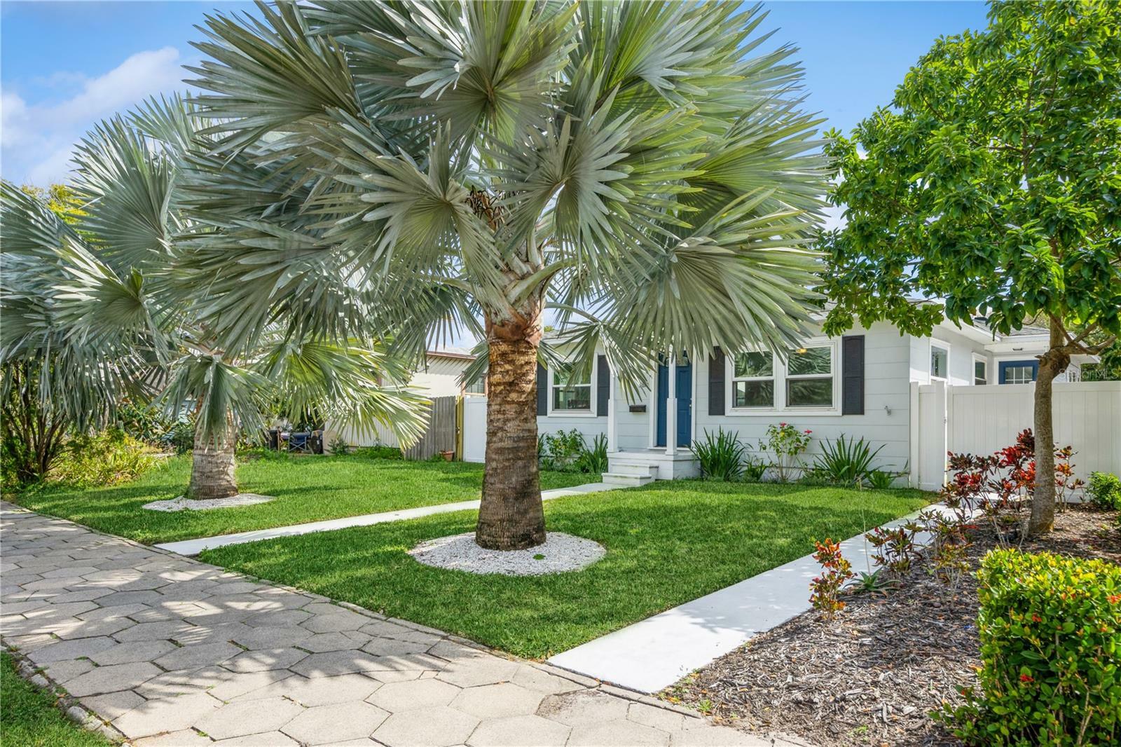 Property Photo: 3610 3rd Avenue N FL 33713