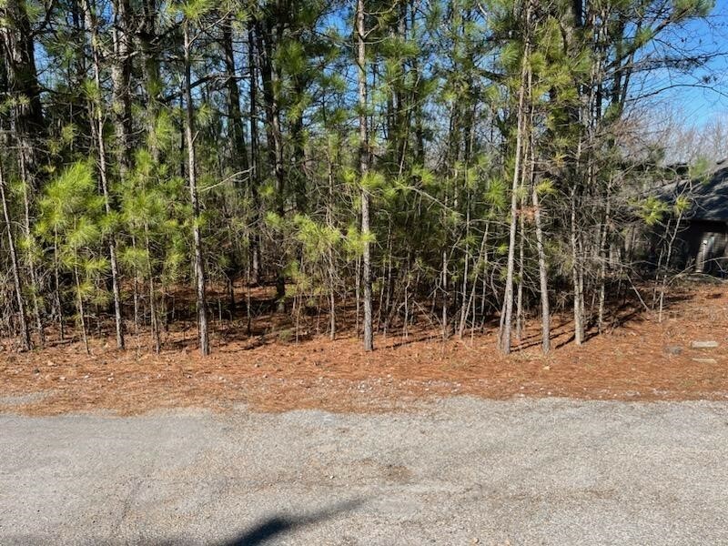 Property Photo:  Lot 21, Block 9 Stirling Lane  AR 72715 