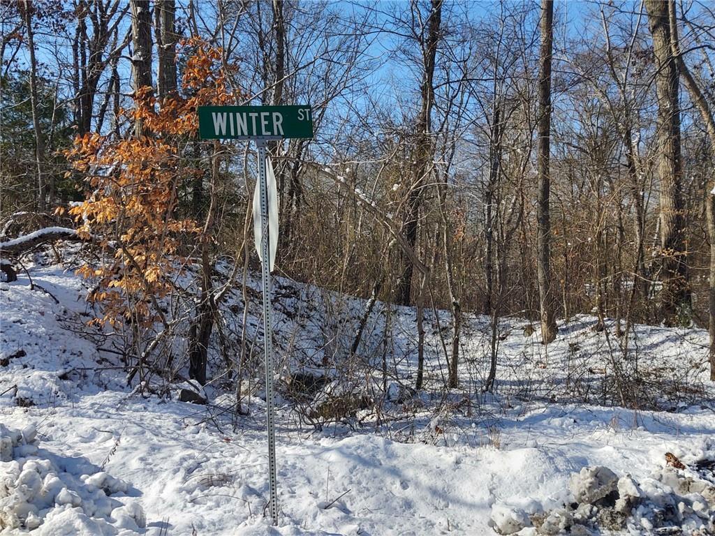 Property Photo: 0 Winter Street MA 02769