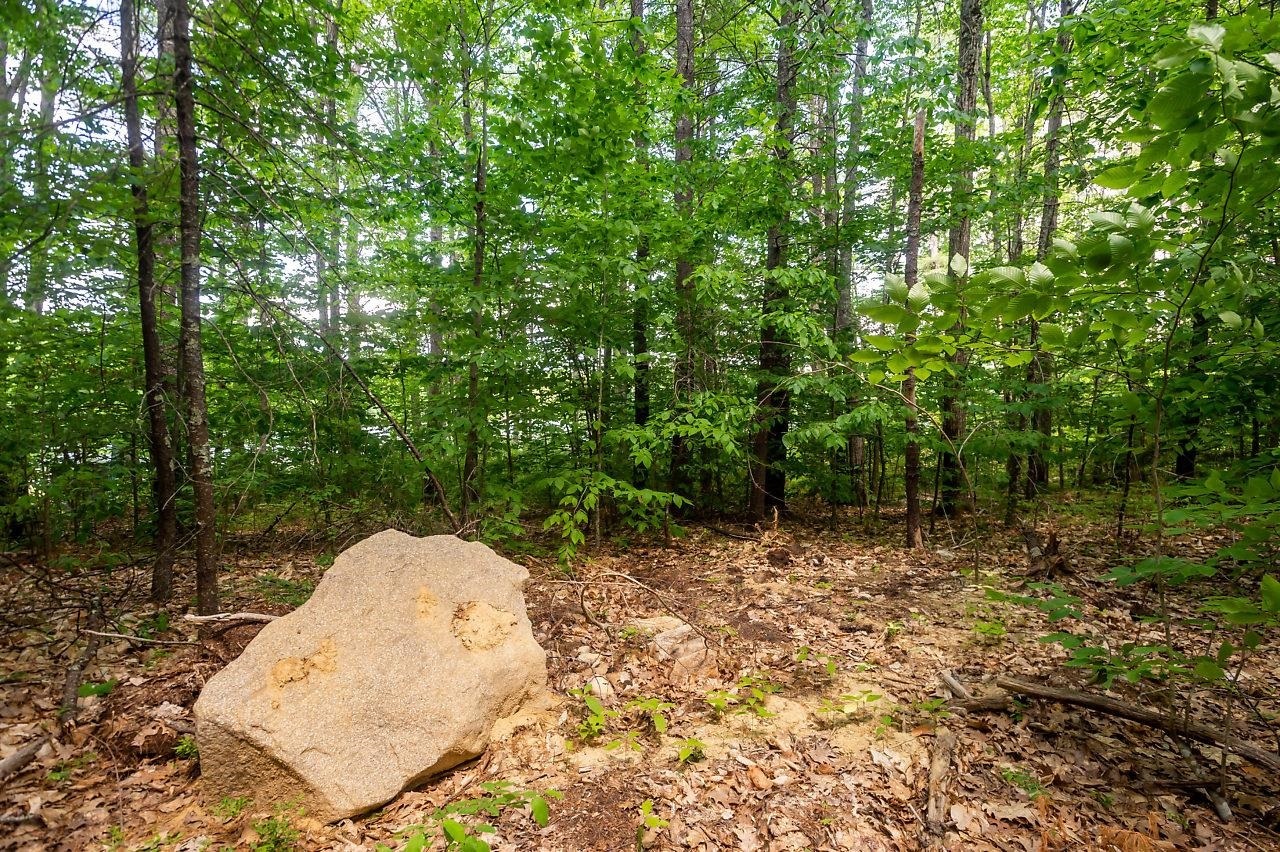 Property Photo: 0 Flower Drive NH 03825