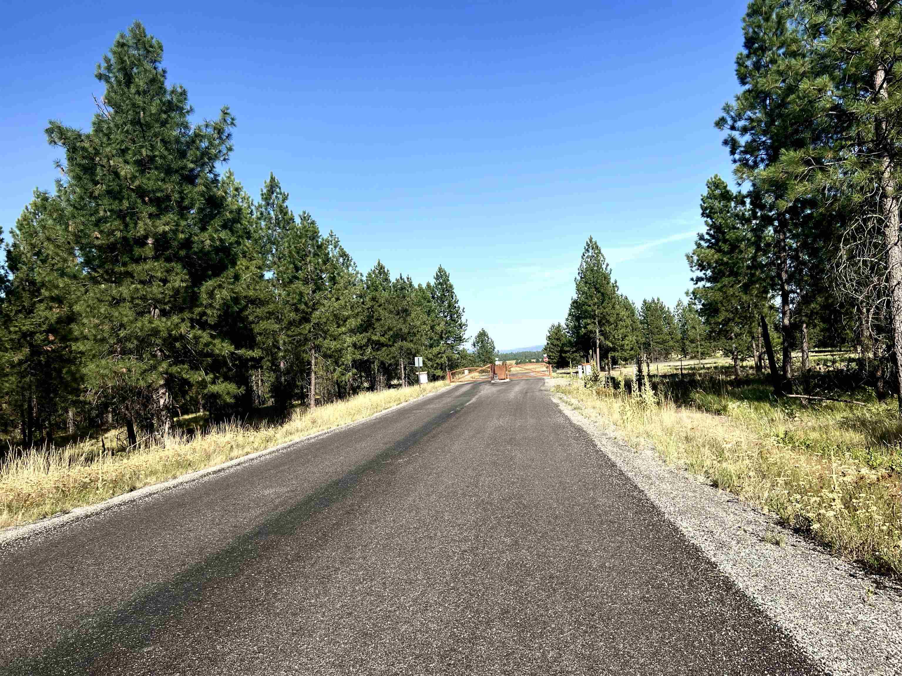 Property Photo:  Nka W Findley Ln Lot 4  WA 99006 