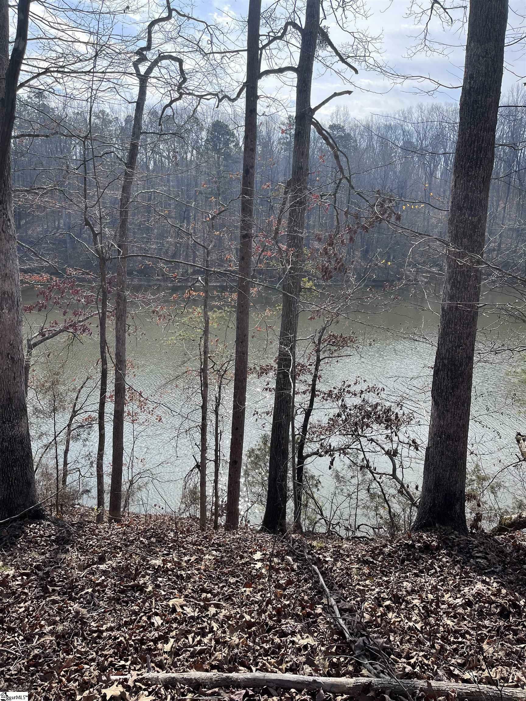 Property Photo:  0 S Lakeview Drive Lot 23  SC 29643 