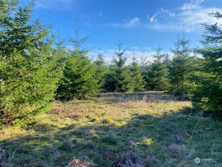 Property Photo: 0 Lot 1 Brockway Road WA 98532