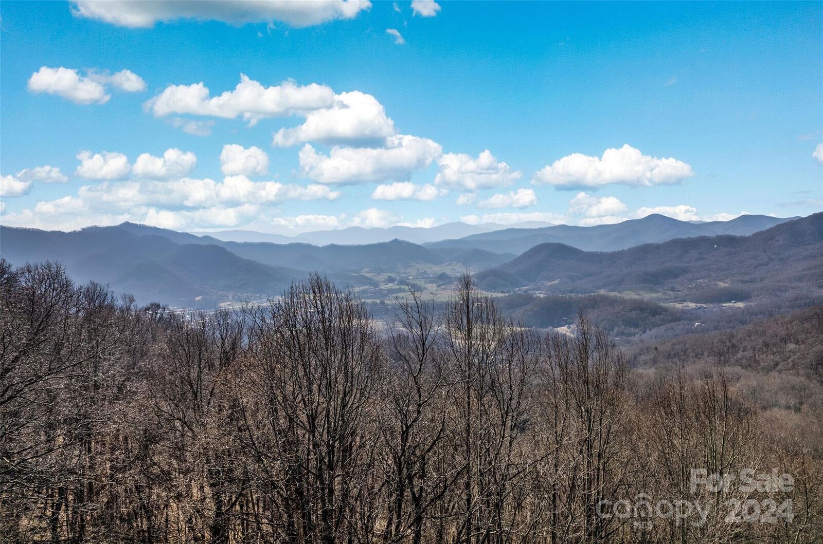 Property Photo:  00 Purple Martin Lane  NC 28785 