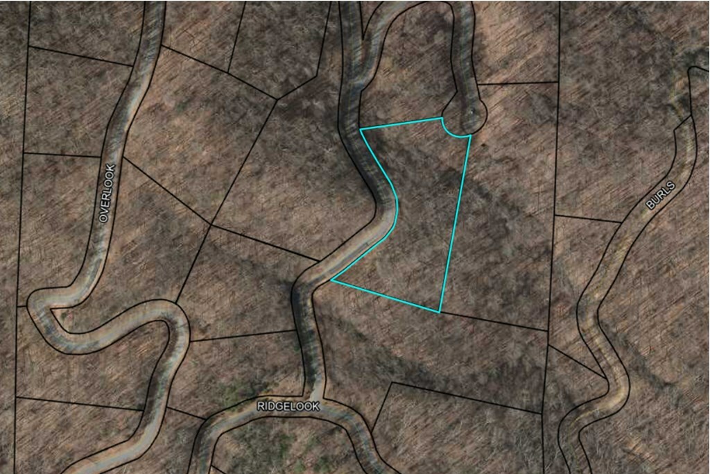 Property Photo:  Lot36 Overlook Loop  GA 30582 