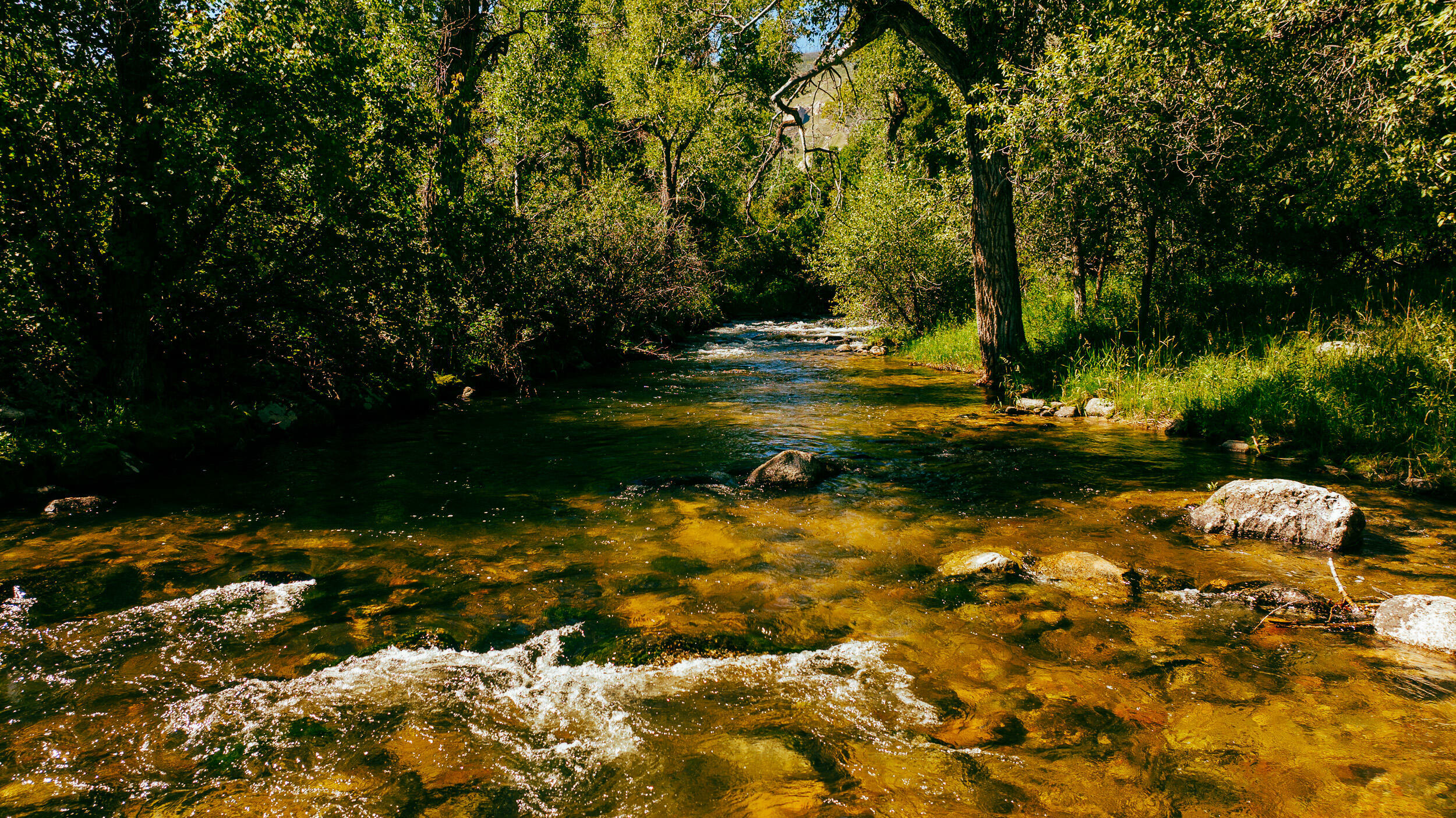 Property Photo:  4.2 Acres Little Goose Canyon Road  WY 82833 