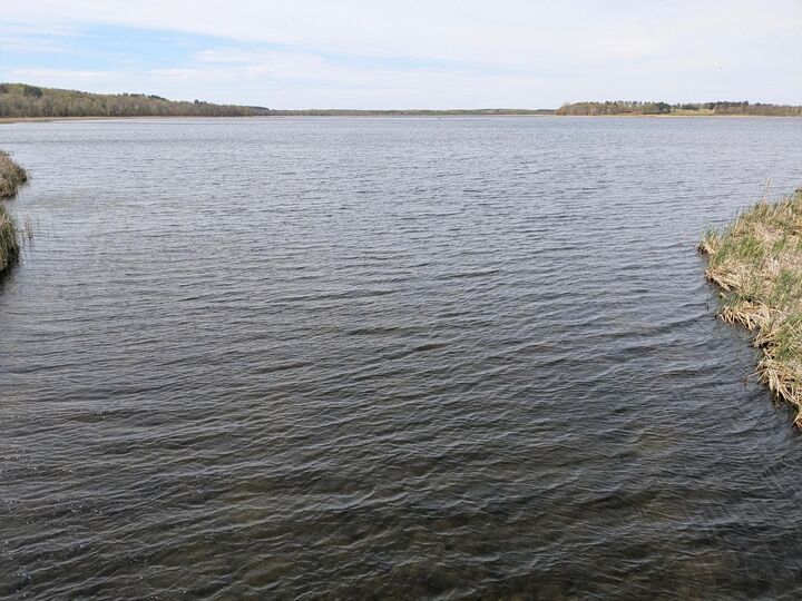 Property Photo: 14413 Blueberry Bridge Road MN 56464