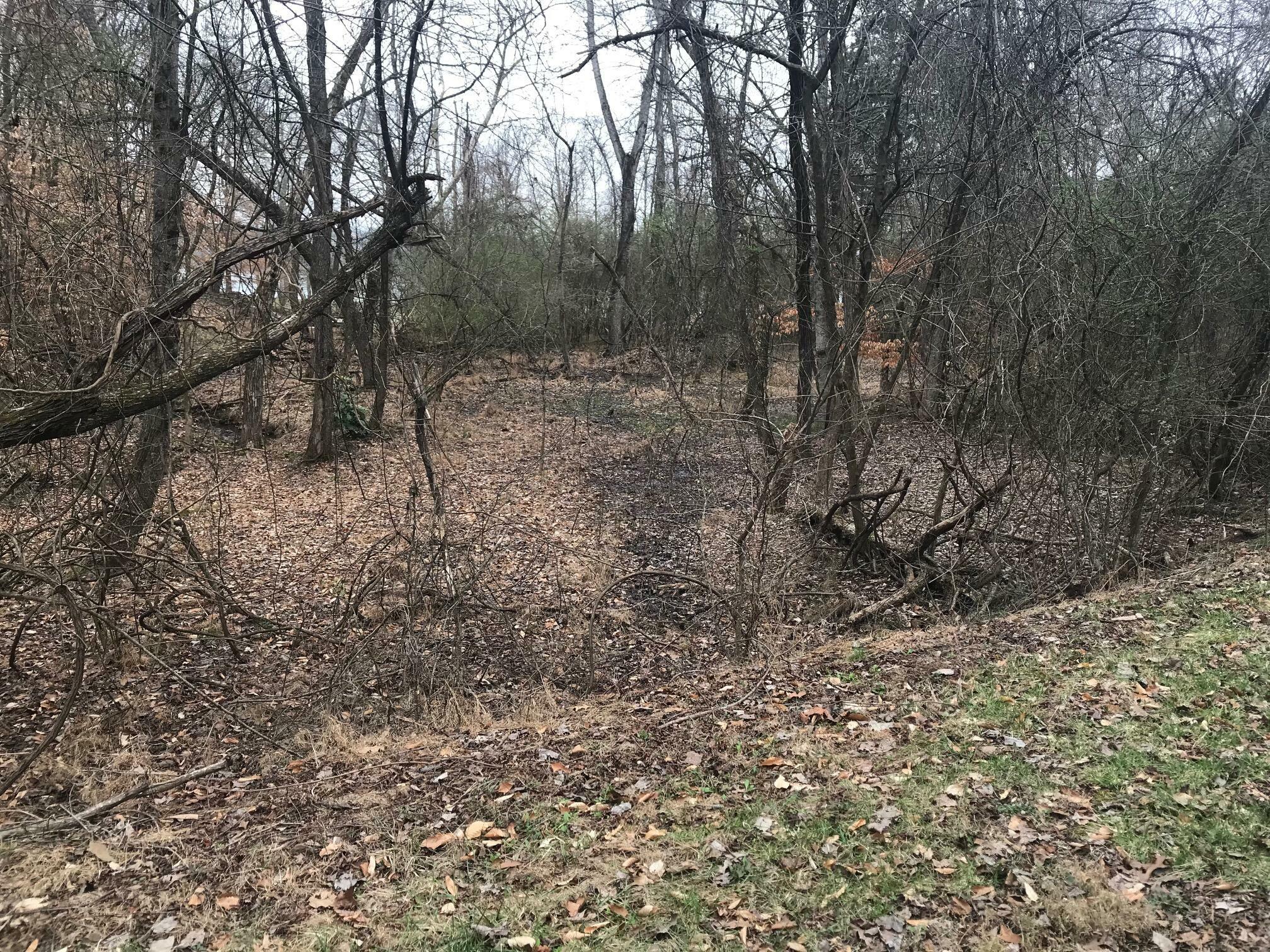 Property Photo:  Lot 50 Cherokee Circle  TN 37880 