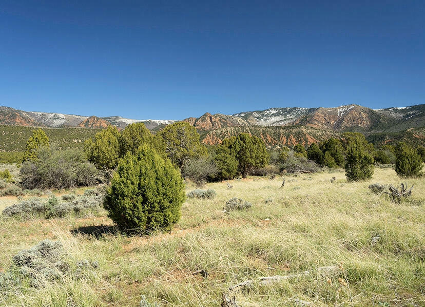 Property Photo:  4206 W 1900 S Lot 2, Ph 4  UT 84720 