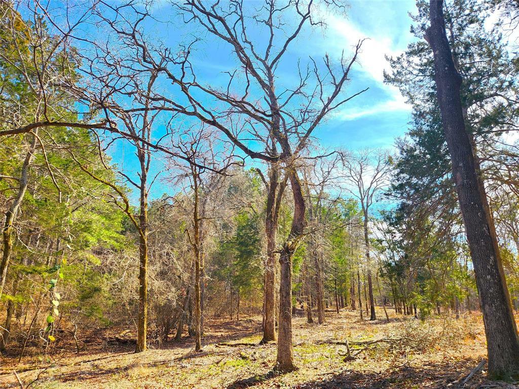 Property Photo:  Lot 463 US-175  TX 75770 