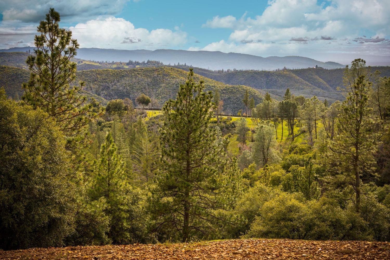 Property Photo:  15660 Jesus Maria Road  CA 95245 