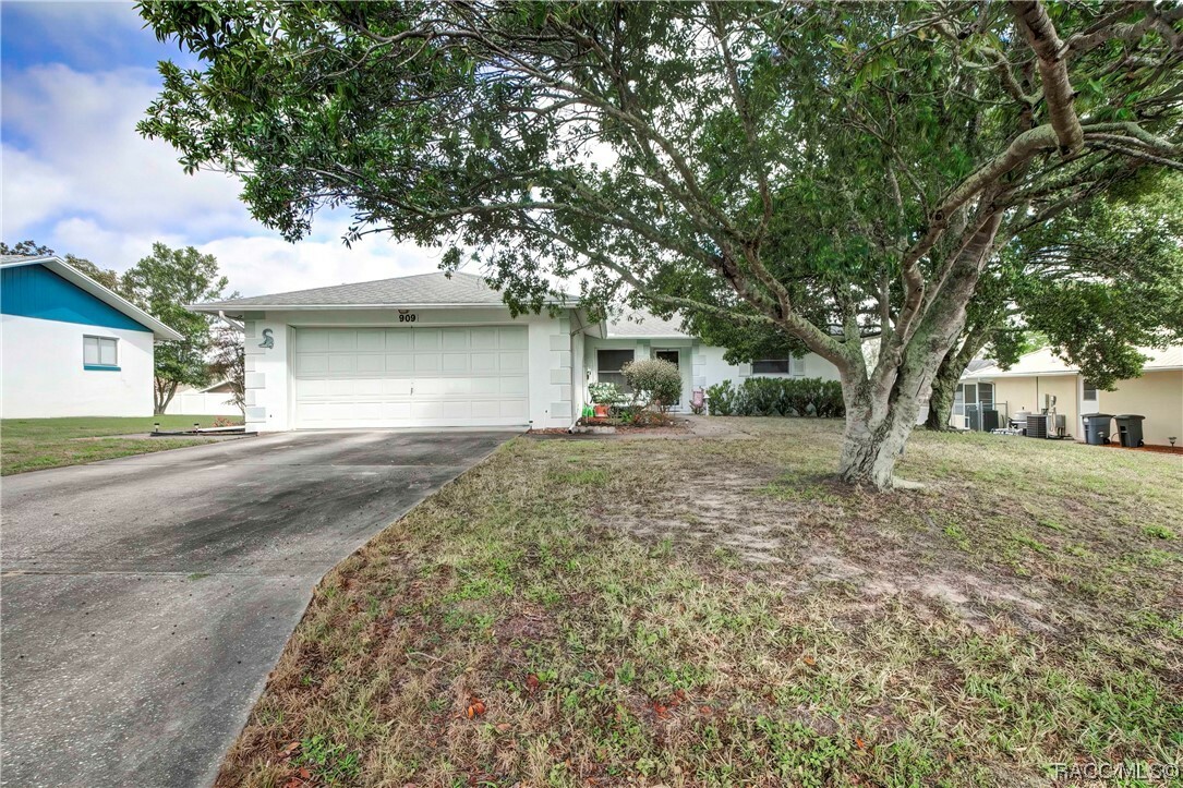 Property Photo:  909 W Buttonbush Drive  FL 34465 