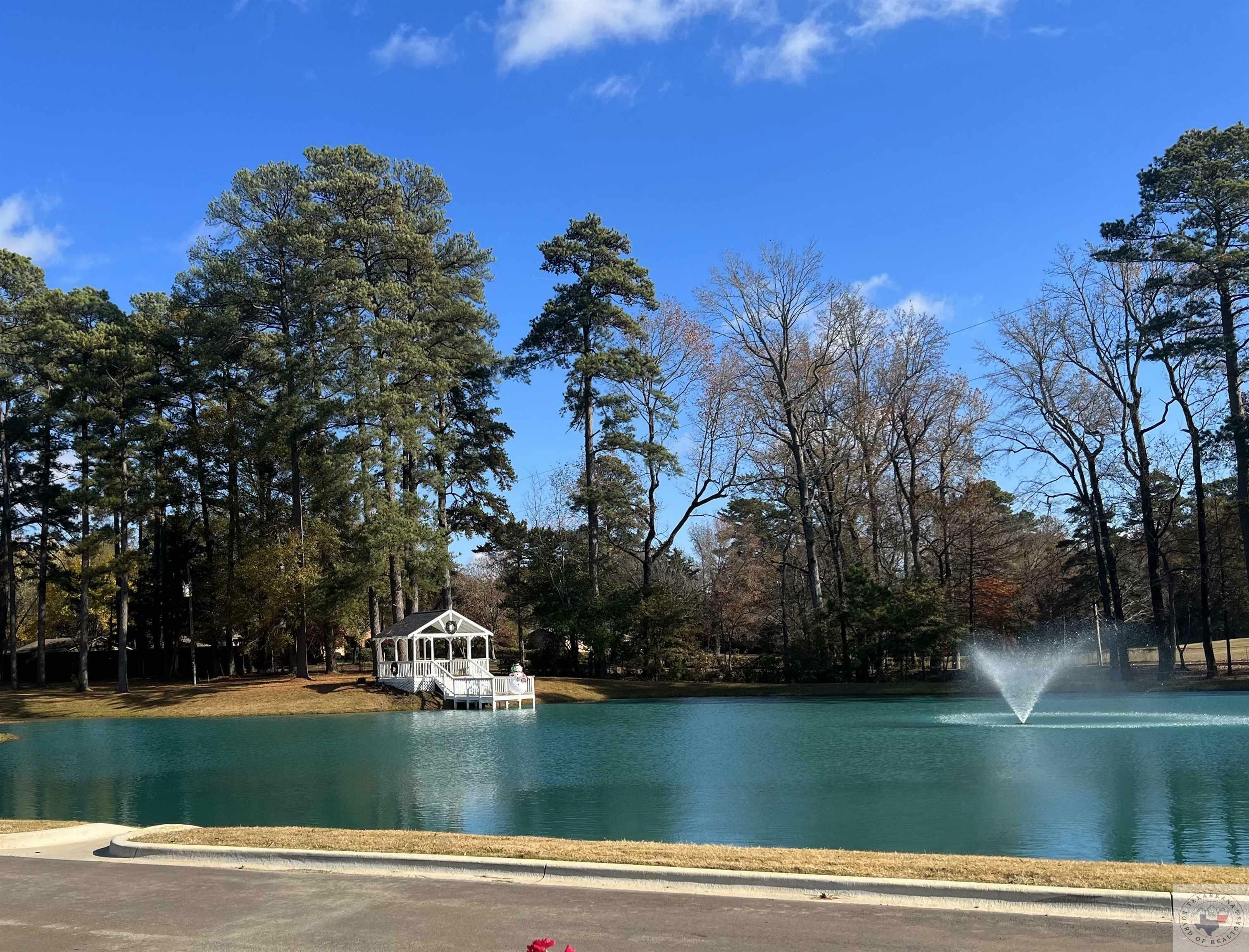 Property Photo: 8210 Teal TX 75503