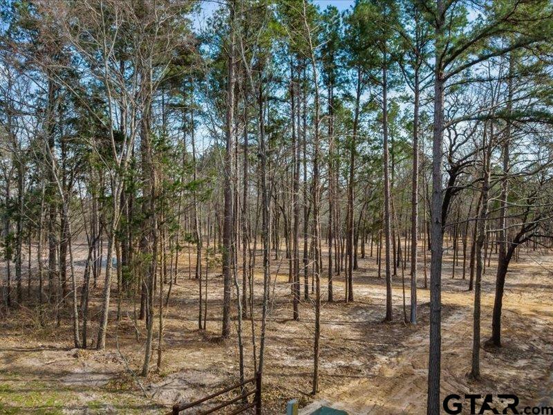 Property Photo:  Lot 1 County Road 2540  TX 75773 