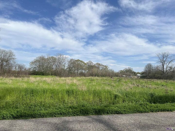 Property Photo:  5232, 5252 Elm Grove Rd  LA 70767 