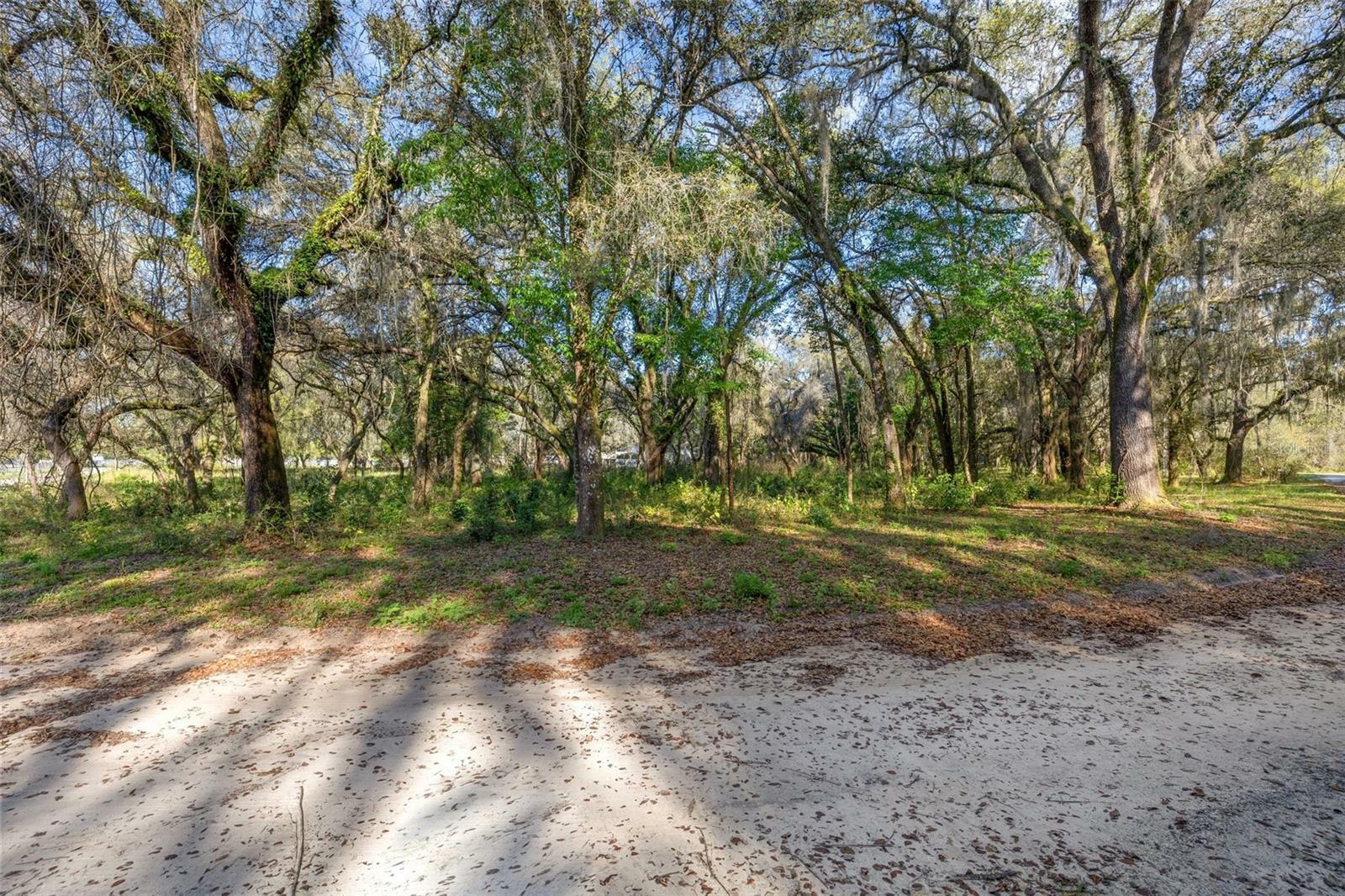 Property Photo:  Mazie Drive, Lot 106  FL 33541 