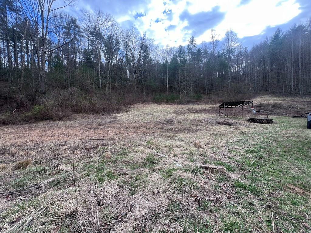 Property Photo:  Tr 1&Amp2 Graves Rd  NC 28906 