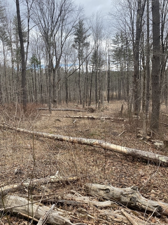 Property Photo:  Lot 80.1 Brentwood Dr  MA 01550 