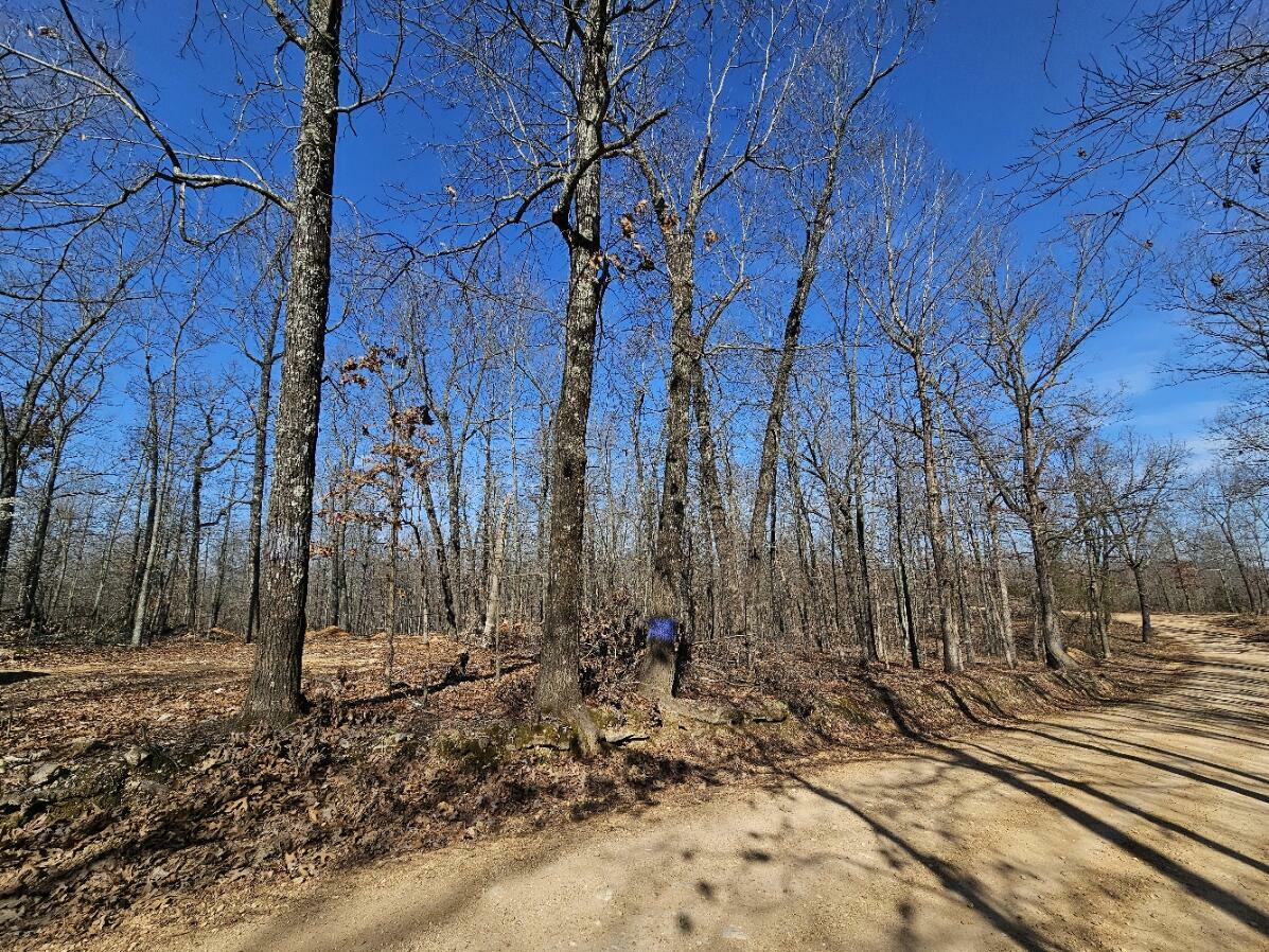 Property Photo:  000 County Road 255  MO 65791 