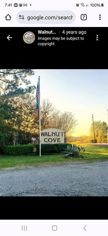 Property Photo: Lot 54 White Cedar Street TX 77318