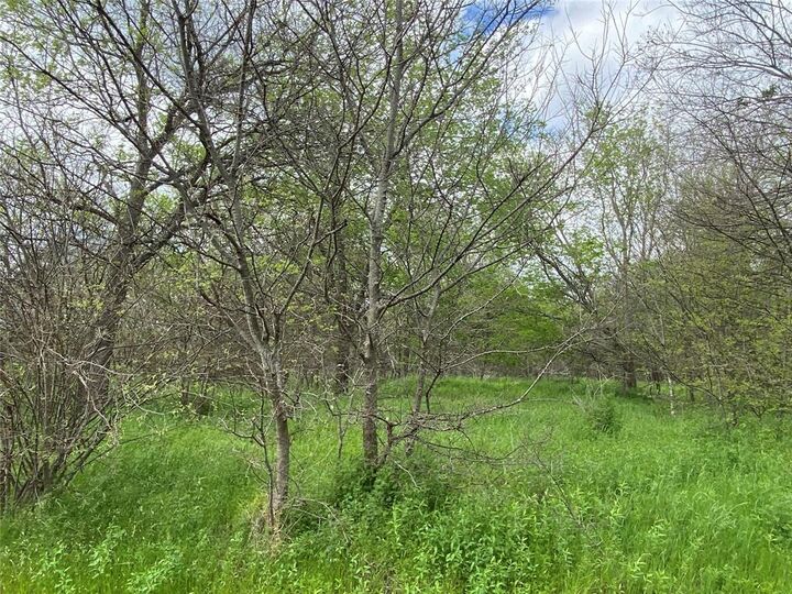 818 College Avenue  Mexia TX 76667 photo