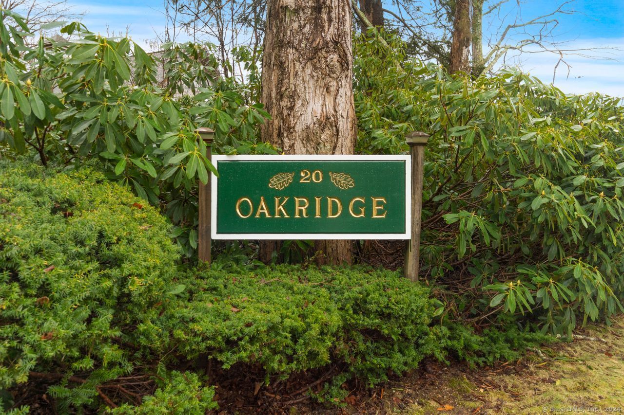 Property Photo:  20 Comstock Avenue Apt 3C  CT 06442 