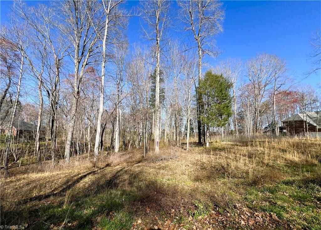 Property Photo:  140 Winterberry Place Trail  NC 27284 