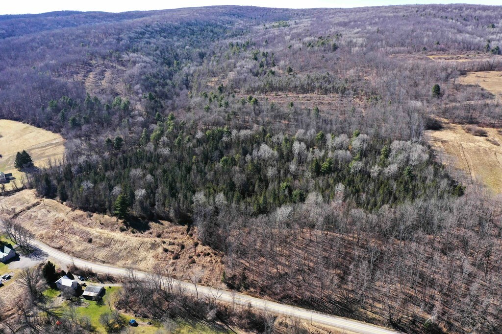 Property Photo:  00 Milwaukee Road  NY 14823 