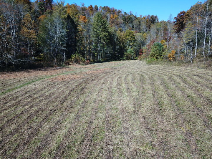 Property Photo:  0 Clover Bottom Creek Road  KY 40447 