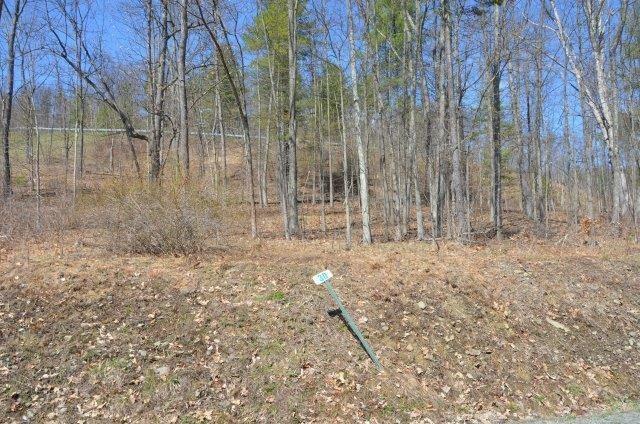 Property Photo:  Lot 30 Hemlock Hills Rd  PA 18848 