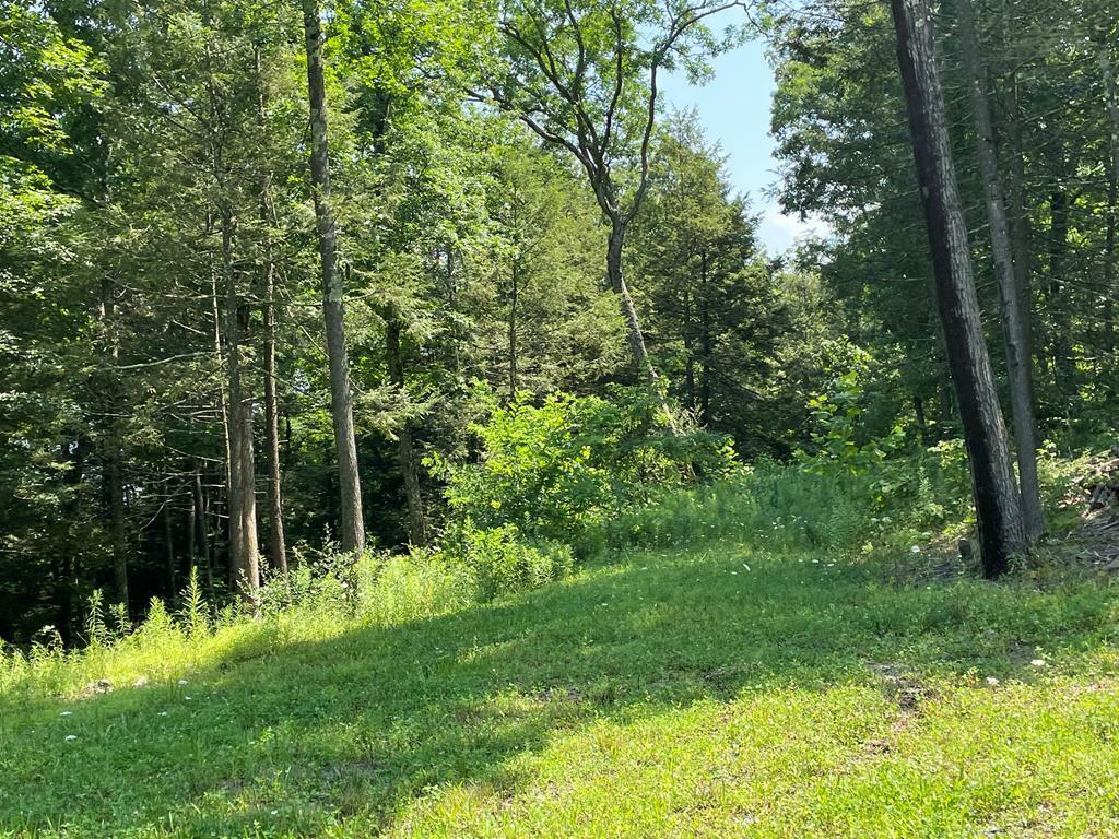 Property Photo:  Lot 42 Hemlock Hills Rd  PA 18848 