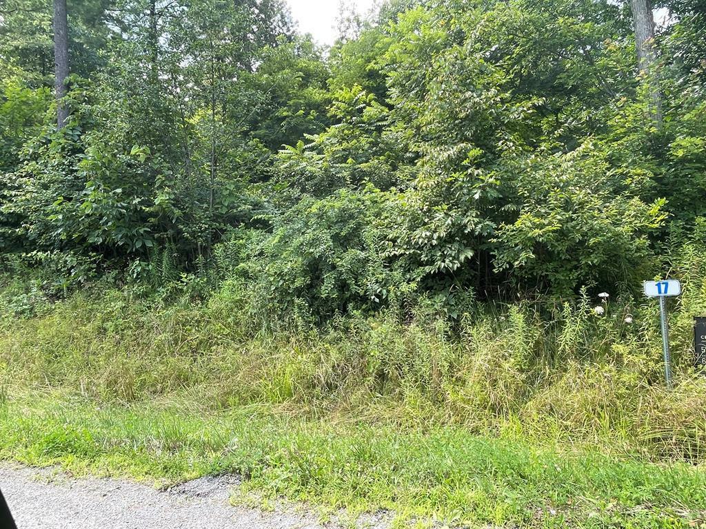 Property Photo:  Lot 18 Hemlock Hills Rd  PA 18848 