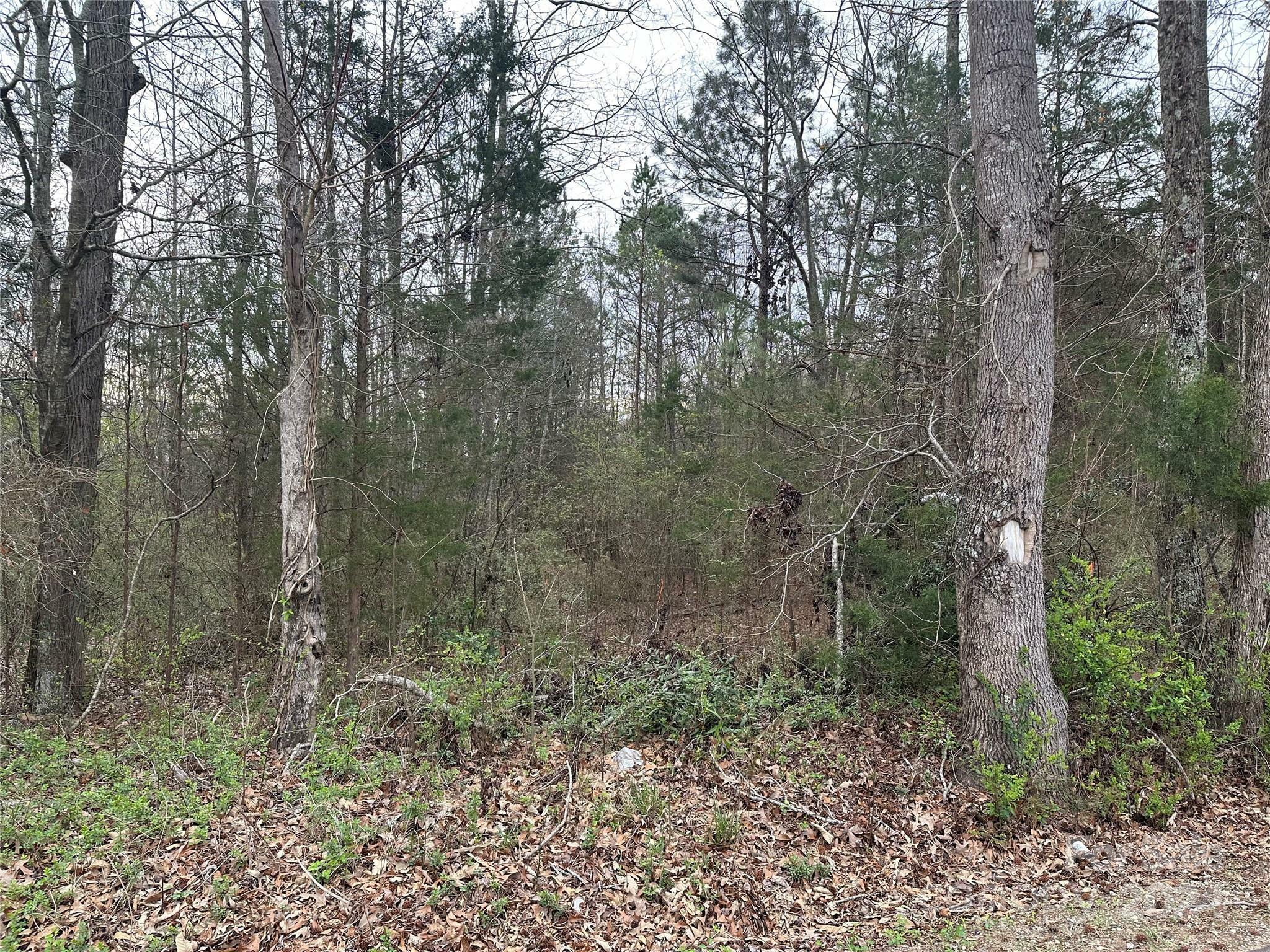 Property Photo:  00 Zion Church Road  SC 29372 