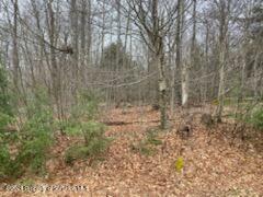 Property Photo:  Rainbow Run Lot 40  PA 18424 