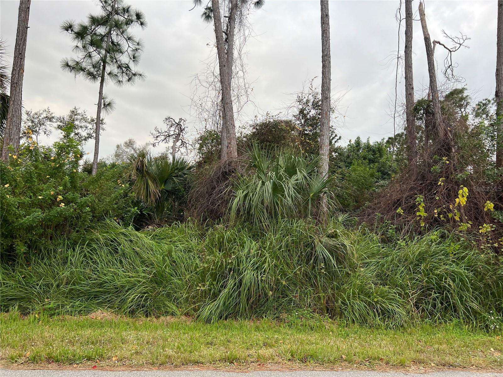 Property Photo:  Montana Lane  FL 34286 