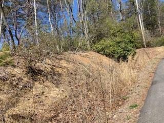 Property Photo:  0 Morse Elm Loop Lot 54  GA 30183 