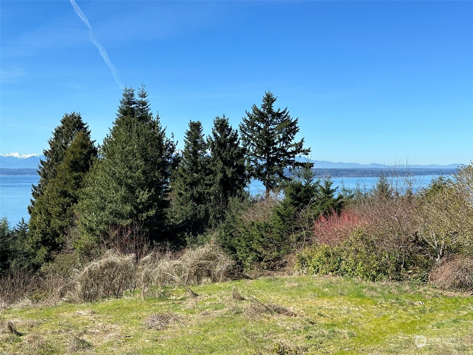 Property Photo:  860 NW Elford Drive  WA 98177 