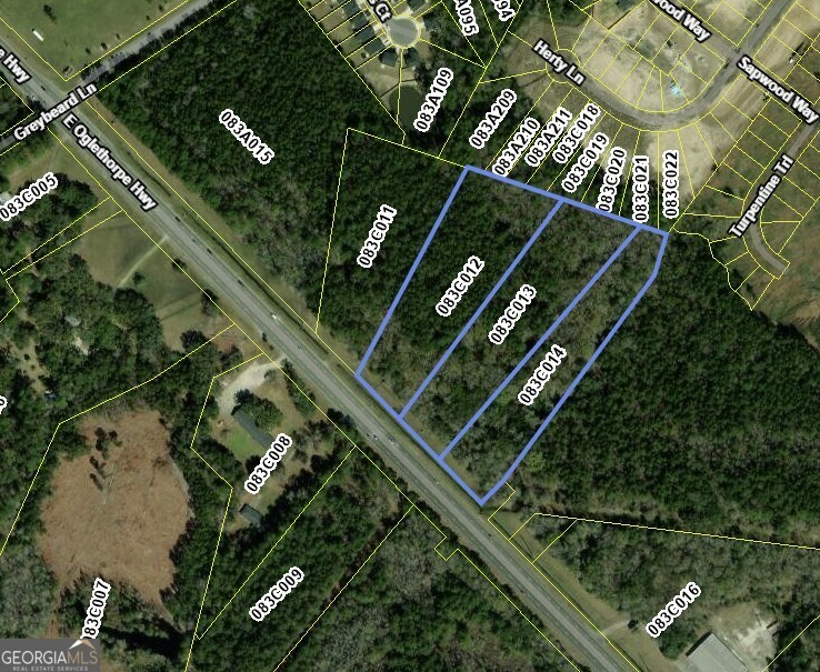 Property Photo:  12.11 Ac E Oglethorpe Highway  GA 31313 