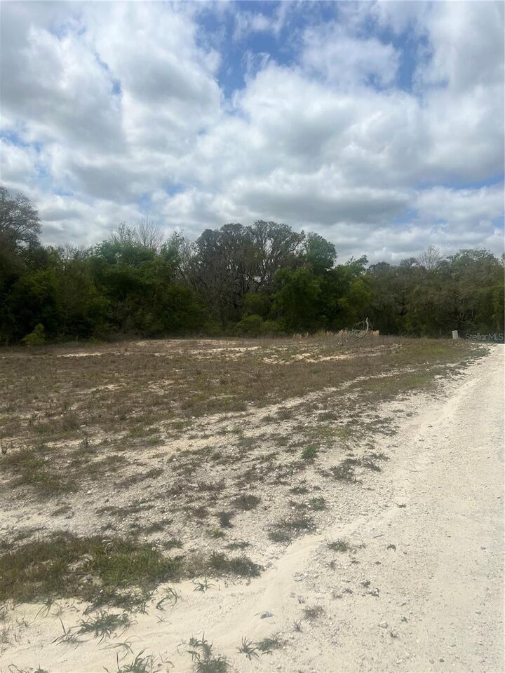 Property Photo: Cleft Rock Street FL 33597